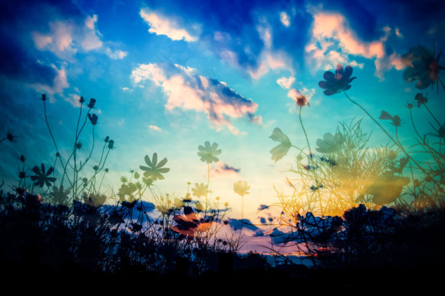 縮毛矯正 での一番大きな学びのチャンス